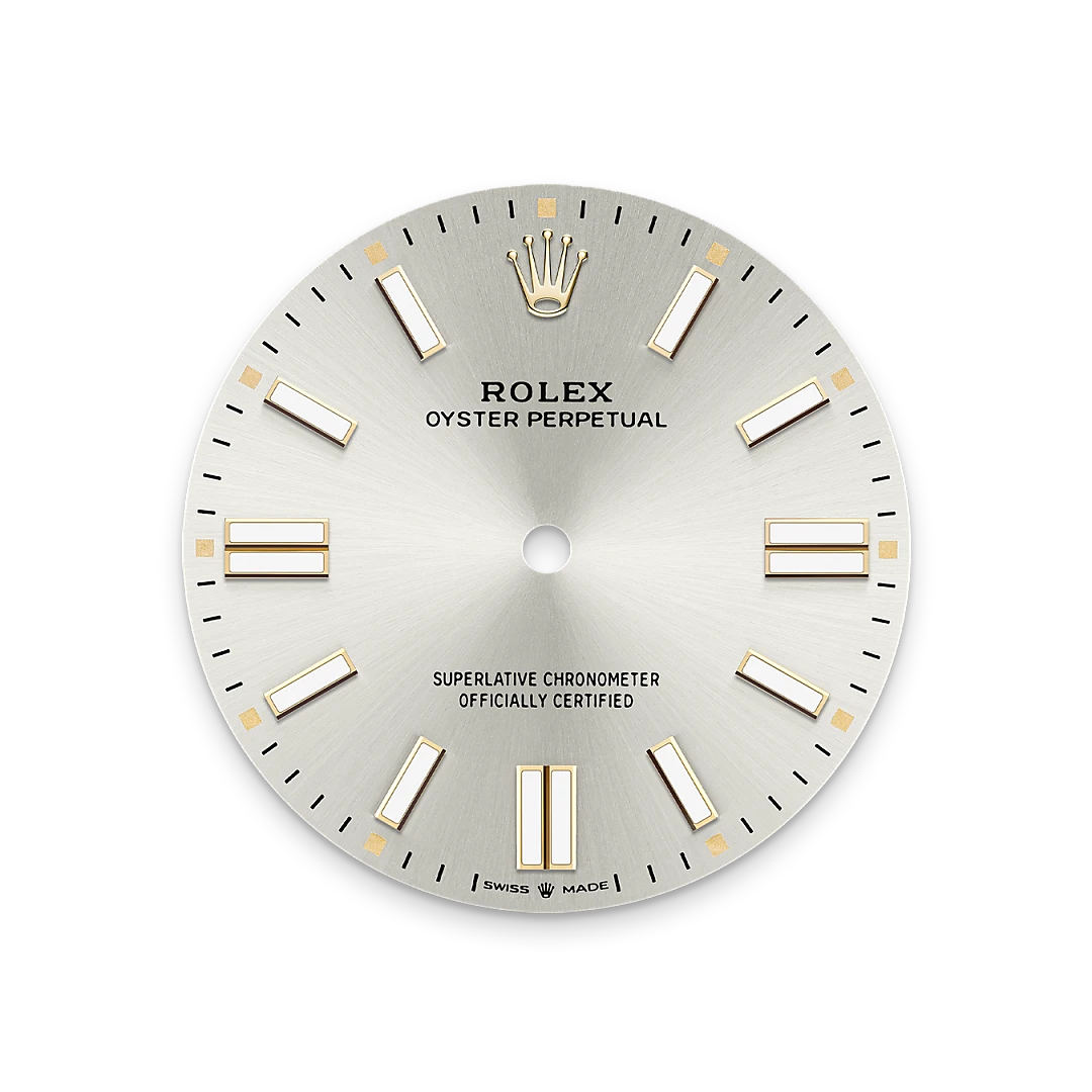 Rolex Oyster Perpetual 41 in Oystersteel with a Silver dial, domed  bezel, and Oyster bracelet, m134300-0001 - Crisson