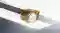 Rolex 1908 watches  - Crisson, Bermuda