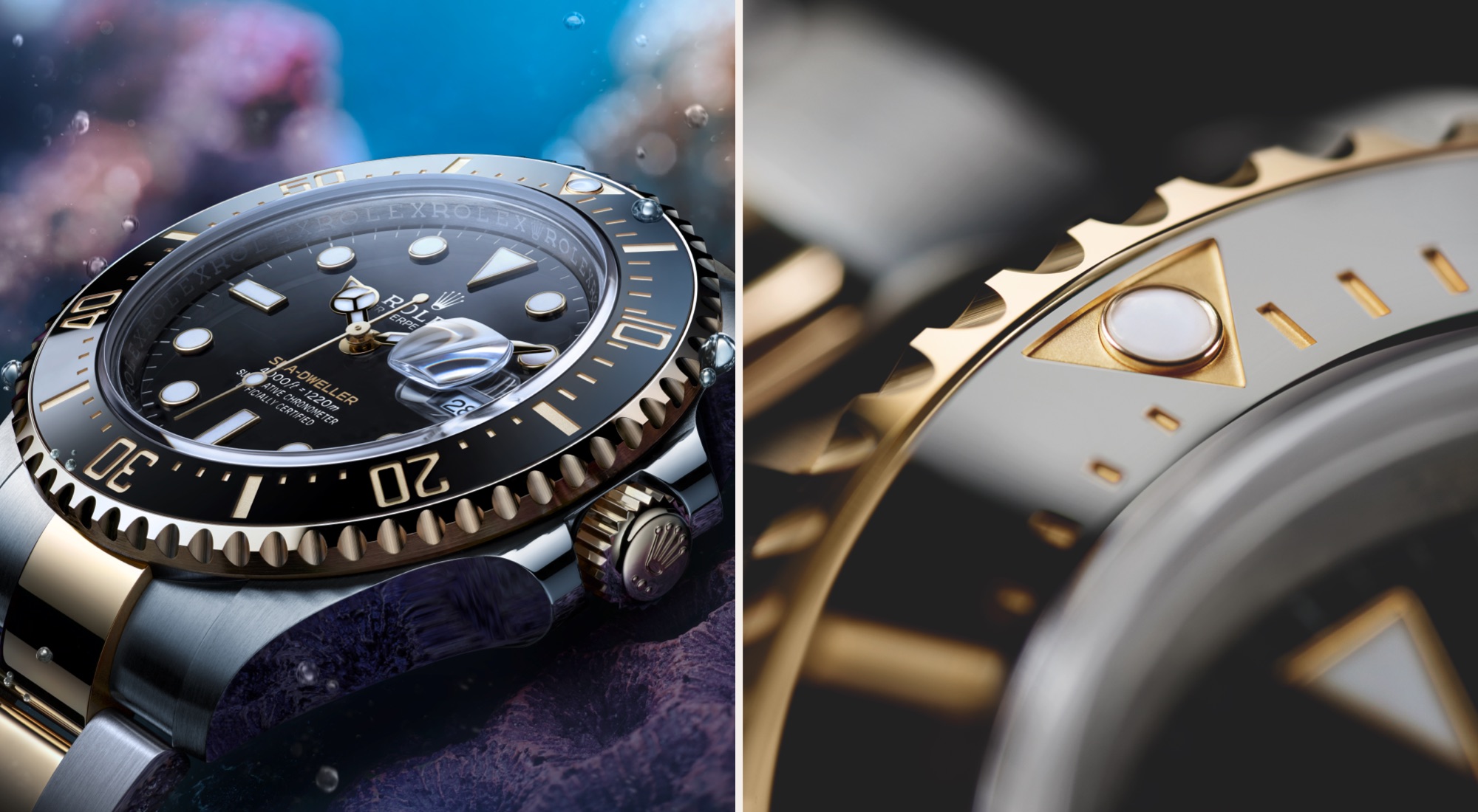 Rolex Sea-Dweller watches at Crisson, Bermuda